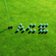 id:ACE-81