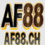 AF88Amherst