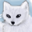 ArcticFoxKit