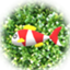 id:Array_fish