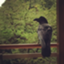 id:Asano_iris