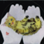 id:AtssOgata
