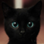 id:BlackCat67