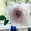 id:BlueMist