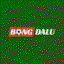 Bongdaluprocom