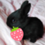 BunnyBunny