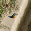 id:CSUN