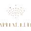 CapitalElite