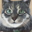 id:Cat-Portrait