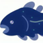 id:Coelacanth46