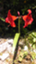 id:DHC93997