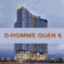 DHomme