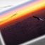 id:Dou