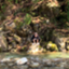 id:DreamSupportman