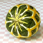 id:FukuMame