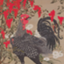 id:Gallus