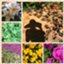 id:Green_Coordinator_Moegi