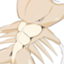 id:GuenGuan