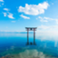 id:HARUTOWA