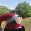id:Hakuchu10
