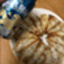 Hoegaarden