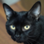 id:HollowCat