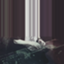 id:House_Of_Tapes