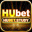 Hubetstudy