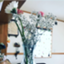 id:Ikech1