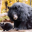 id:JBWorry
