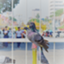 id:Kinomura1002