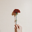 id:Midori_Tada