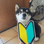 id:Miyachan