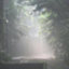 id:MorningHaze