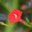 id:N73758801