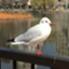 id:NameLow