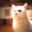 id:Naofumi_Murata