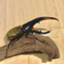 id:Natural-Aspiration