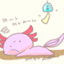 id:Nishiya-whale