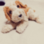 id:Oka19981237