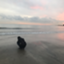 id:Physaka