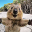 id:QuokkaBlog