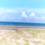 id:RS303