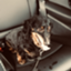 id:R_56513