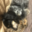 id:Rn1195