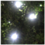 id:Saegusa_K