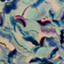 id:SekuraKyu