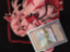 id:Senrin
