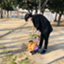 id:Shin_Kubo