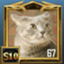id:TAMORINRIN